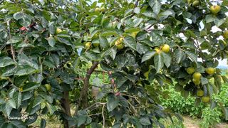 도종태님의 자유주제 · 자유게시판 작성글 사진