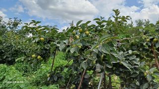 도종태님의 자유주제 · 자유게시판 작성글 사진