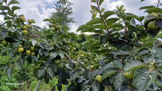 도종태님의 자유주제 · 자유게시판 작성글 사진