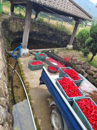 권영구님의 자유주제 · 자유게시판 작성글 사진