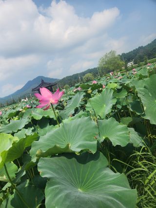 미소김님의 자유주제 · 칭찬해요 작성글 사진