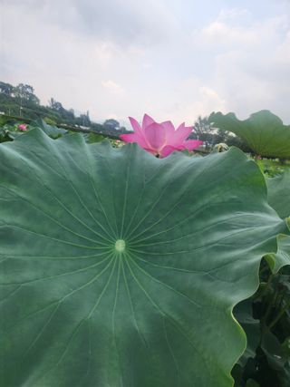 미소김님의 자유주제 · 칭찬해요 작성글 사진