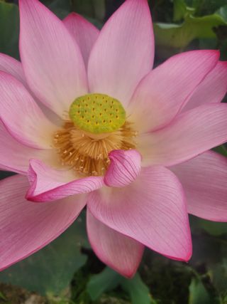 미소김님의 자유주제 · 칭찬해요 작성글 사진