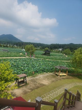미소김님의 자유주제 · 칭찬해요 작성글 사진