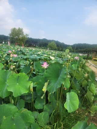 미소김님의 자유주제 · 칭찬해요 작성글 사진