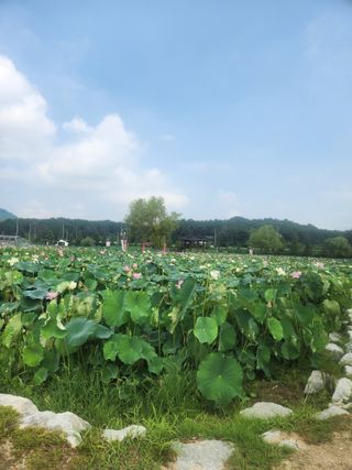 미소김님의 자유주제 · 칭찬해요 작성글 사진