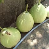 팜모닝 자유주제·자유게시판 게시글 이미지