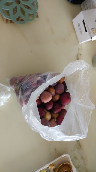 전남무안군박옥주님의 고추 · 영농일지 작성글 사진