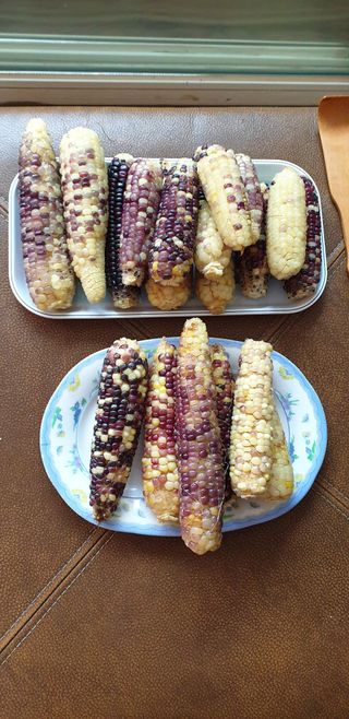 노을연가님의 자유주제 · 자유게시판 작성글 사진