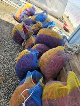 팜모닝 자유주제·자유게시판 게시글 이미지