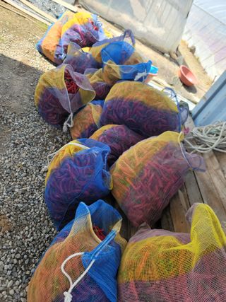 김순례님의 자유주제 · 자유게시판 작성글 사진