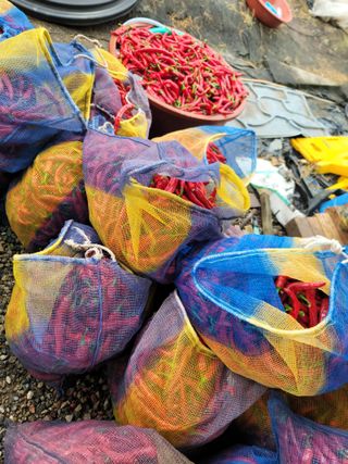 김순례님의 자유주제 · 자유게시판 작성글 사진