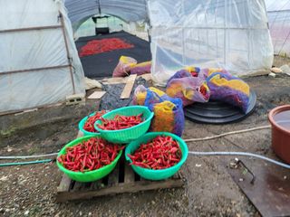 김순례님의 자유주제 · 자유게시판 작성글 사진