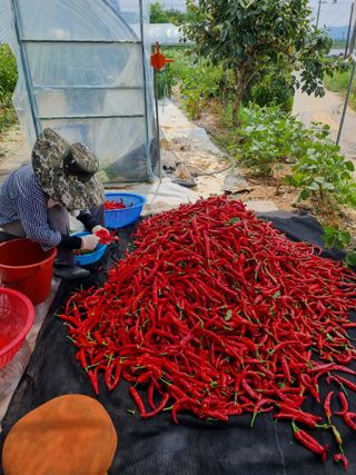 장례지도사1급님의 자유주제 · 자유게시판 작성글 사진