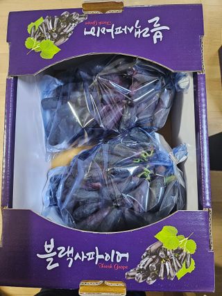 최지훈님의 작성글 사진