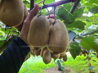 노고단님의 자유주제 · 자유게시판 작성글 사진