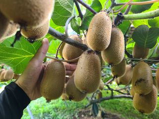 노고단님의 자유주제 · 자유게시판 작성글 사진