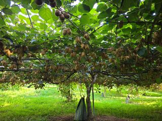 노고단님의 자유주제 · 자유게시판 작성글 사진