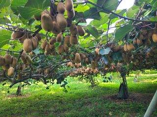 노고단님의 자유주제 · 자유게시판 작성글 사진