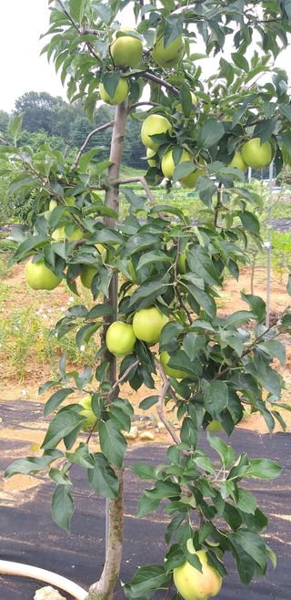 김무석님의 팜모닝 · 출석 작성글 사진