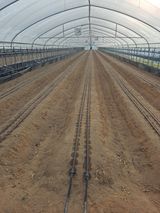 팜모닝 👍팜이웃 칭찬해요!·참여글 게시글 이미지