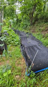 팜모닝 자유주제·자유게시판 게시글 이미지