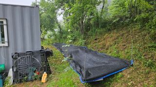 힐스님의 자유주제 · 자유게시판 작성글 사진