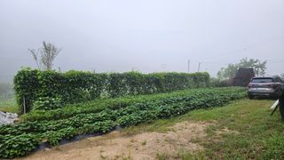 힐스님의 자유주제 · 자유게시판 작성글 사진