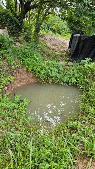 힐스님의 자유주제 · 자유게시판 작성글 사진