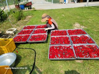 김용민님의 자유주제 · 자유게시판 작성글 사진