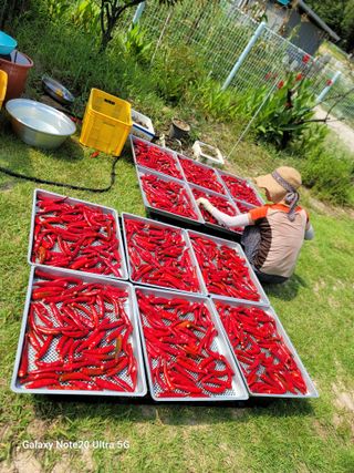 김용민님의 자유주제 · 자유게시판 작성글 사진