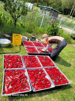 김용민님의 자유주제 · 자유게시판 작성글 사진