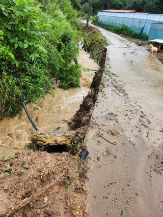 농지임대법님의 자유주제 · 사진전 작성글 사진