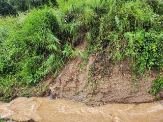 농지임대법님의 자유주제 · 사진전 작성글 사진