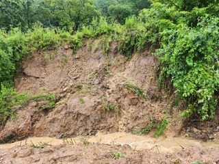 농지임대법님의 자유주제 · 사진전 작성글 사진