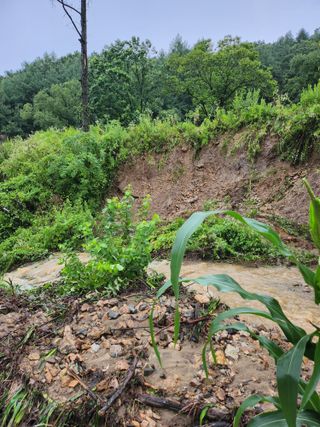 농지임대법님의 자유주제 · 사진전 작성글 사진