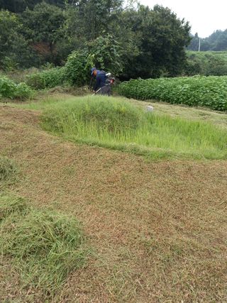 이민규님의 팜모닝 · 출석 작성글 사진