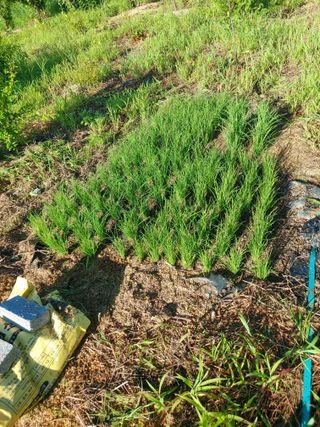 김정은님의 배 · 영농일지 작성글 사진