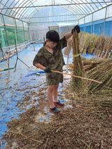 팜모닝 자유주제·자유게시판 게시글 이미지