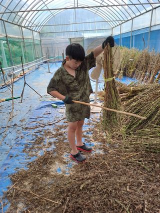 백봉2리밭농사곡식님의 자유주제 · 자유게시판 작성글 사진