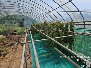 양태문님의 참깨 · 영농일지 작성글 사진