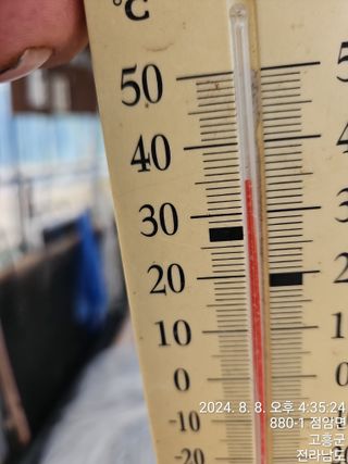 양태문님의 참깨 · 영농일지 작성글 사진