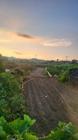 팜모닝 자유주제·자유게시판 게시글 이미지