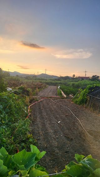 방촌대장님의 자유주제 · 자유게시판 작성글 사진