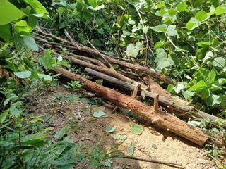 박상준 님의 사과 · 영농일지 작성글 사진