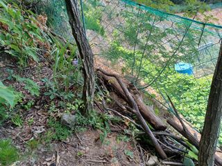 박상준 님의 사과 · 영농일지 작성글 사진