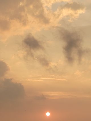 박승훈님의 👍팜이웃 칭찬해요! · 참여글 작성글 사진