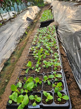 조정숙(1955)님의 자유주제 · 자유게시판 작성글 사진