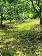 팜모닝 감·영농일지 게시글 이미지