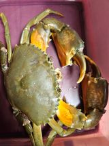 팜모닝 자유주제·사진전 게시글 이미지